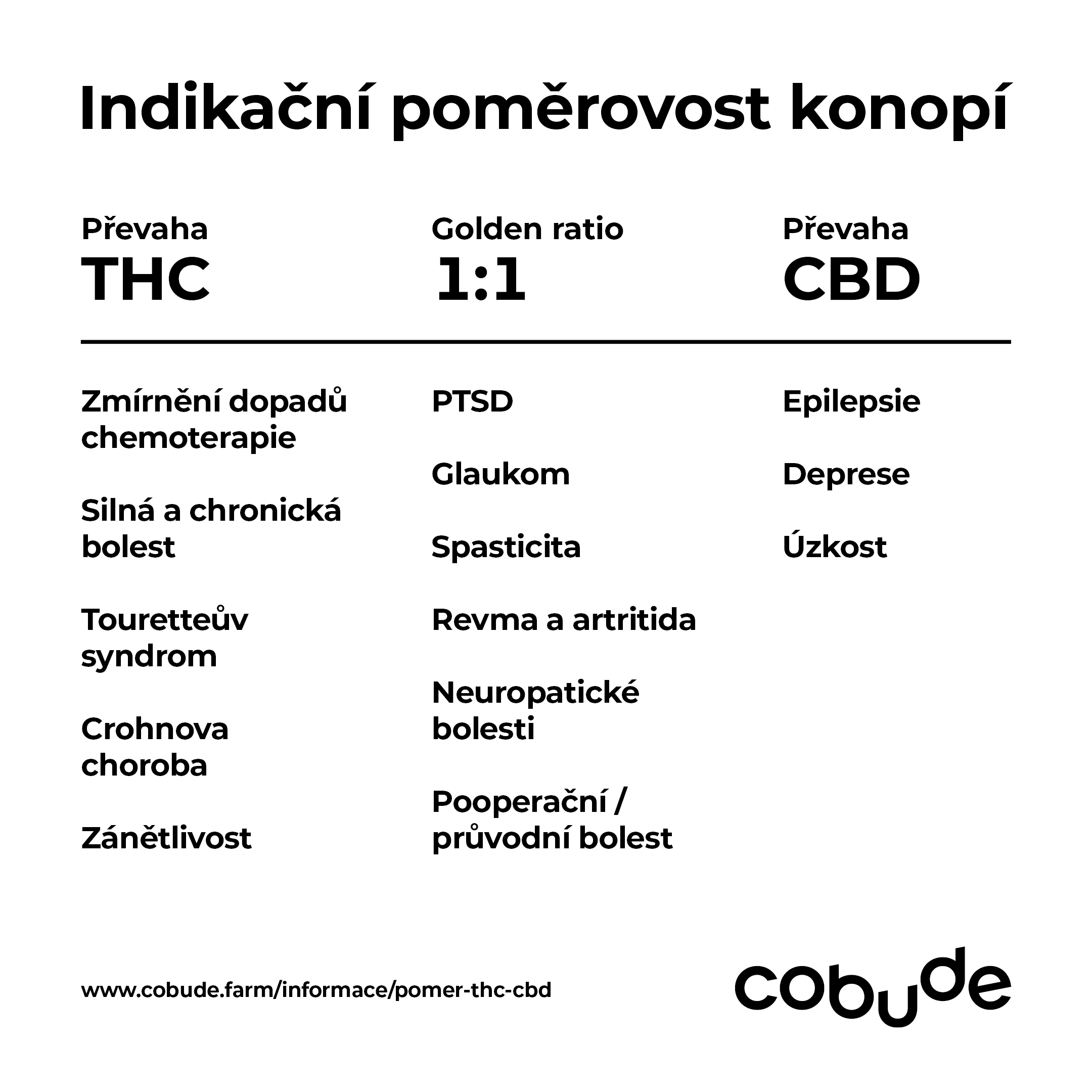 Cobude_infografika_001-1 (2)